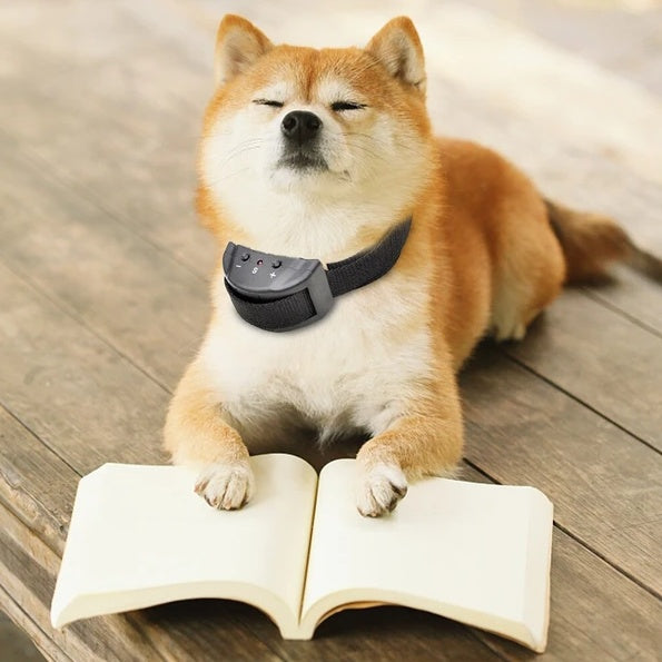 Automatic Barking Dog Shock Control Collar