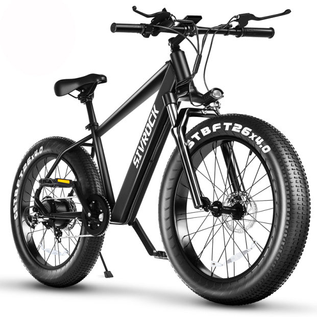 Professional Electric Bike GCC Certified